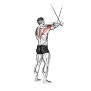 cable standing cross-over high reverse fly animación