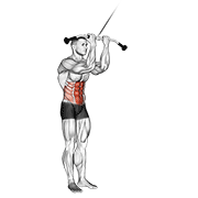 cable standing crunch animación