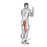 cable standing hip extension animación