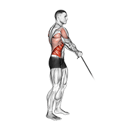 cable standing lift animación