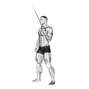 cable standing one arm triceps extension animación