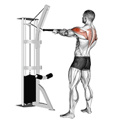 cable standing rear delt row (with rope) animación