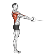 cable standing row (v-bar) animación