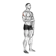 cable standing shoulder external rotation animación