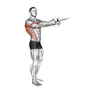 cable standing twist row (v-bar) animación