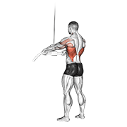 cable straight arm pulldown animación