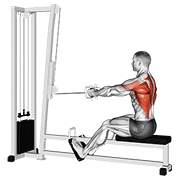 cable straight back seated row animación