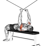 cable supine reverse fly animación