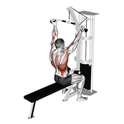 cable underhand pulldown animación