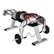 cambered bar lying row animación