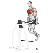 chest dip animación