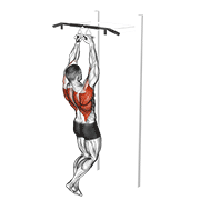 chin-ups (narrow parallel grip) animación