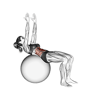 crunch (on stability ball, arms straight) animación