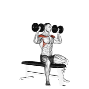 dumbbell bench seated press animación