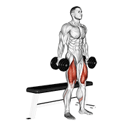 dumbbell bench squat animación