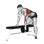 dumbbell one arm bent-over row animación