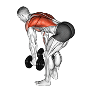 dumbbell bent over row animación
