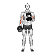 dumbbell cross body hammer curl animación
