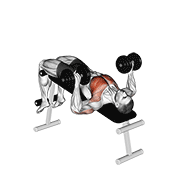 dumbbell decline bench press animación