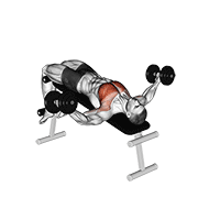 dumbbell decline fly animación