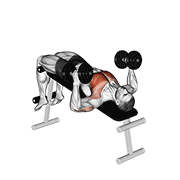 dumbbell decline hammer press animación