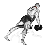 dumbbell decline shrug v. 2 animación