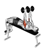 dumbbell decline triceps extension animación