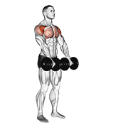dumbbell front raise animación