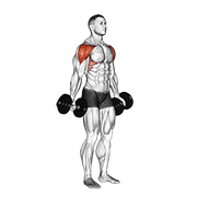 dumbbell full can lateral raise animación