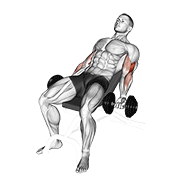 dumbbell incline curl v. 2 animación