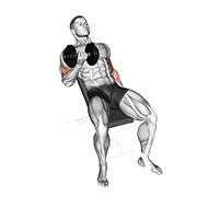 dumbbell incline curl animación