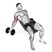 dumbbell incline inner biceps curl animación
