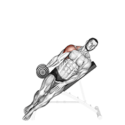 dumbbell incline one arm lateral raise animación