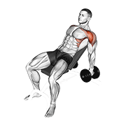 dumbbell incline raise animación