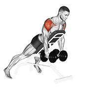 dumbbell incline rear lateral raise animación