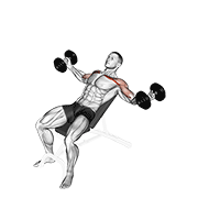 dumbbell incline twisted flyes animación