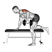 dumbbell kickback animación