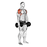 dumbbell lateral raise animación