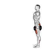 dumbbell lunge animación