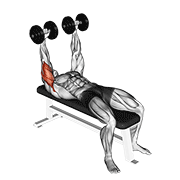 dumbbell lying extension (across face) animación