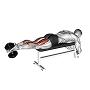 dumbbell lying femoral animación