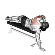 dumbbell lying one arm deltoid rear animación