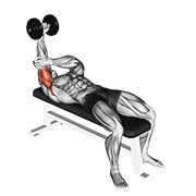 dumbbell lying one arm pronated triceps extension animación