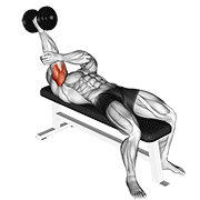 dumbbell lying one arm supinated triceps extension animación