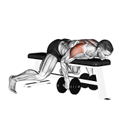dumbbell lying rear lateral raise animación