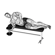 dumbbell lying supination animación