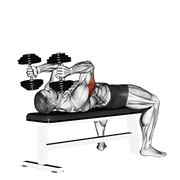 dumbbell lying triceps extension animación