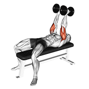 dumbbell neutral grip bench press animación