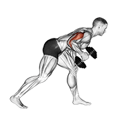 dumbbell one arm kickback animación