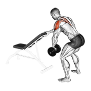 dumbbell one arm reverse fly (with support) animación